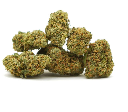Orange Bud [Sous-serre]