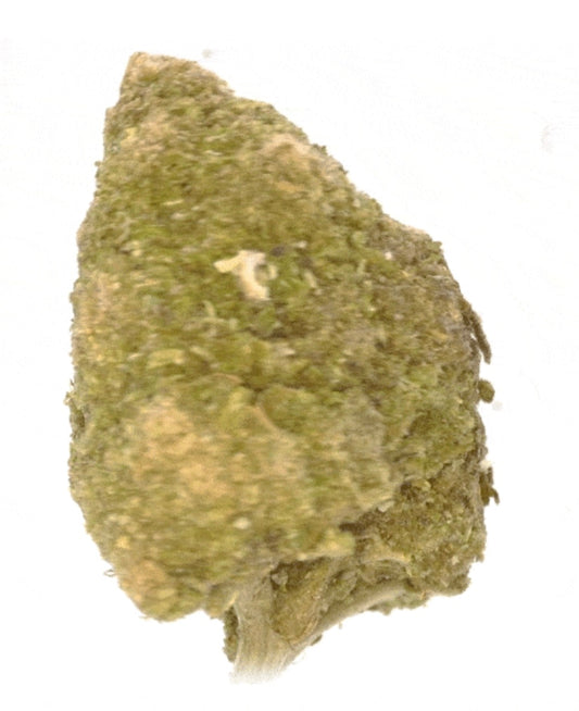 Northern Lights (Freeze Drying) [Intérieur]