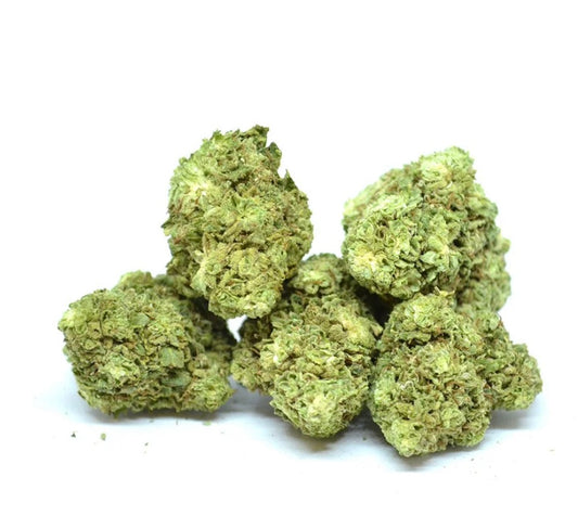 Northern Lights (Freeze Drying) [Intérieur]