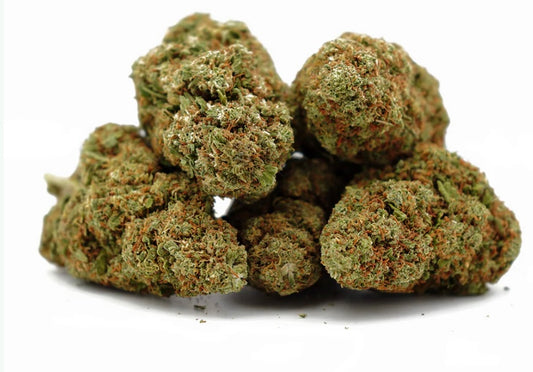 Cali Grape [Intérieur]