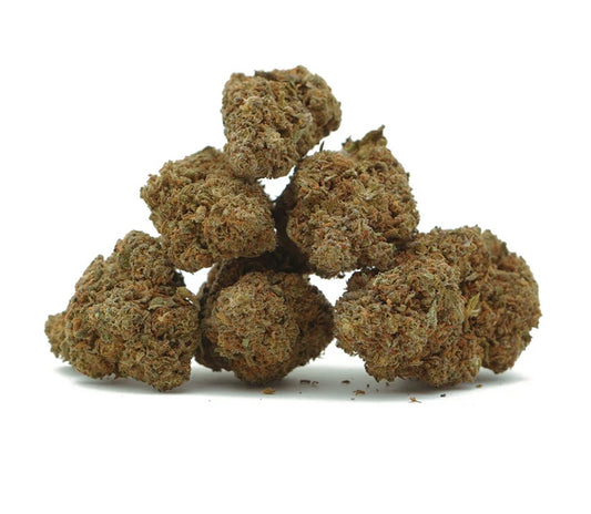 Jack Herer [Sous-serre]