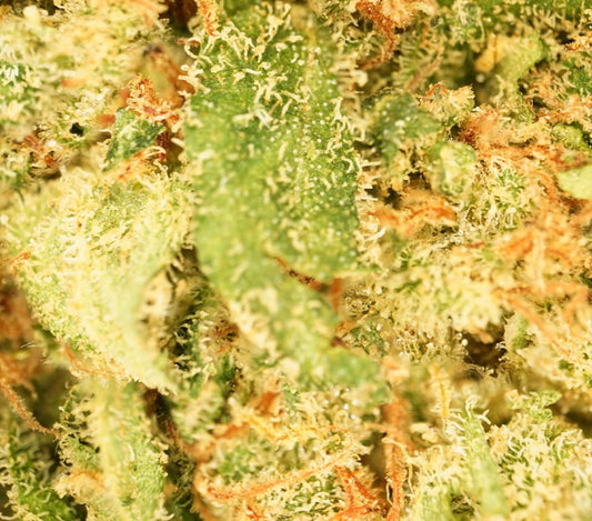 Blue Dream