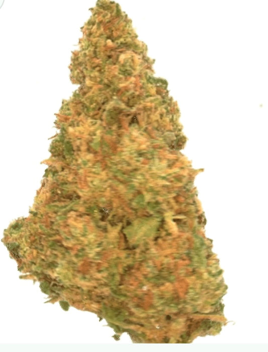 Orange Bud [Sous-serre]